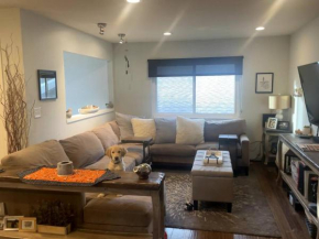 Pet friendly in Boulder! Minutes from CU & Pearl!, Boulder